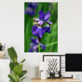 Iris Poster (Thuiskantoor)