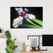 Iris Poster (Thuiskantoor)