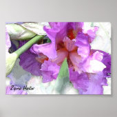 Iris Poster (Voorkant)