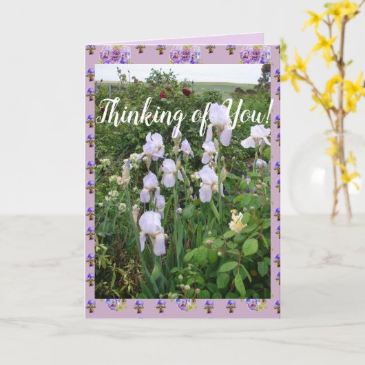 Iris pourpre iris Jardin Pensée de vous Carte (Fleur jaune)