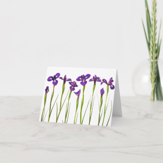Iris pourpres - modèle customisé par fleur d'iris (Devant)