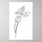 Iris Print (Voorkant)