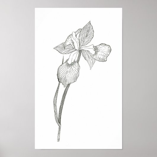 Iris Print (Voorkant)