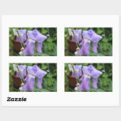 Iris. Rechthoekige Sticker (Vel)