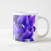 Iris Reticulata Jumbo Mok (Rechts)