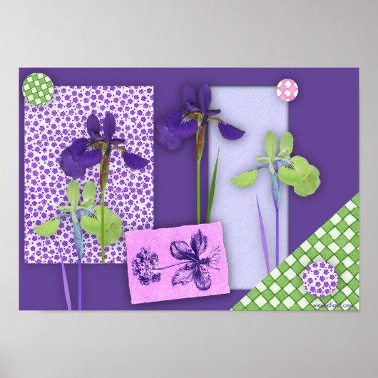 Iris Scrapbook Poster (Voorkant)