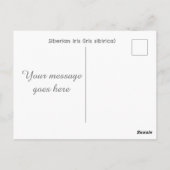 Iris sibirica bloemenfotografie briefkaart (Achterkant)