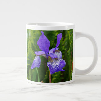 Iris sibirica bloemenfotografie grote koffiekop