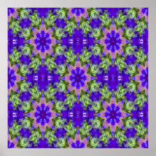 Iris Stars..... Poster
