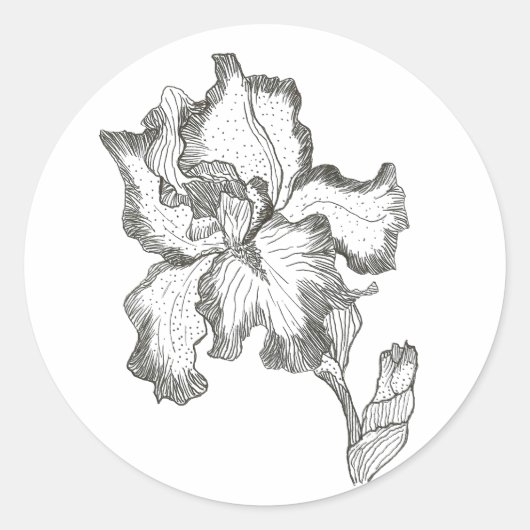 Iris sticker (Voorkant)