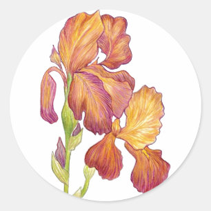 Iris-Sticker van kunstenaar Ronde Sticker
