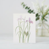 Iris Tenax van William Dykes Briefkaart (Staand voorkant)