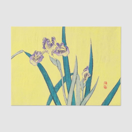 IRIS Tissuepapier (Voorkant)