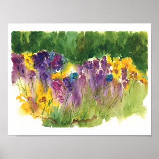 Iris Tuin Aquarelprint - 11 x14 Poster