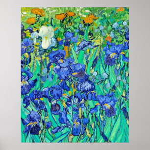 Iris van Gogh Poster