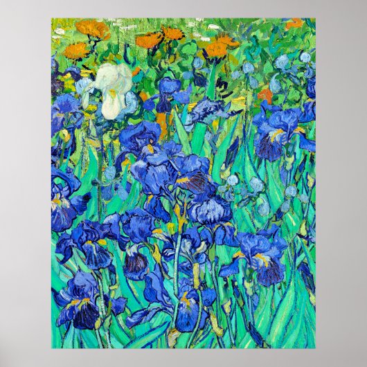 Iris van Gogh Poster (Voorkant)