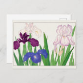 Iris van Tanigami Konan Briefkaart (Voorkant / Achterkant)