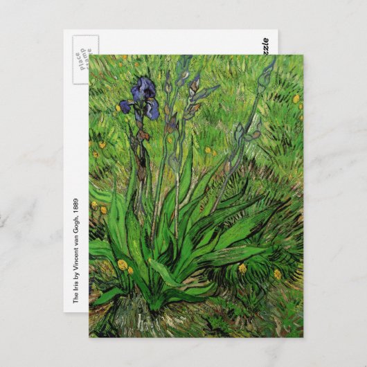 Iris van Vincent van Gogh, Garden Fine Art Briefkaart (Voorkant / Achterkant)