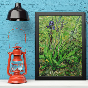 Iris van Vincent van Gogh,  Garden Fine Art Poster