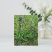 Iris van Vincent van Gogh,  Garden Flowers (Staand voorkant)