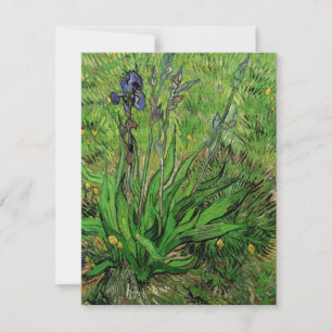 Iris van Vincent van Gogh,  Garden Flowers