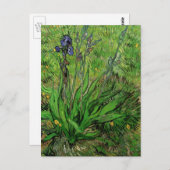 Iris van Vincent van Gogh,  Garden Flowers Briefkaart (Voorkant / Achterkant)
