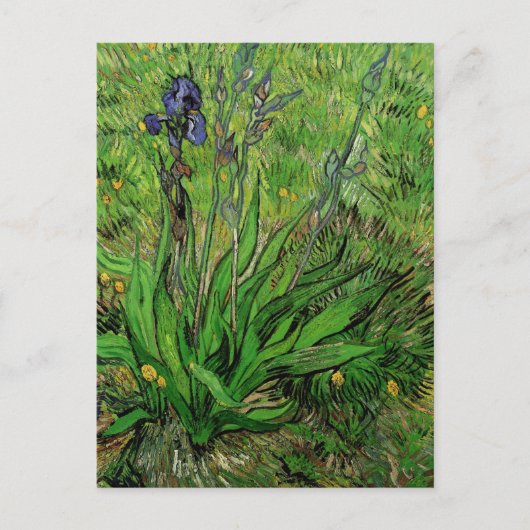 Iris van Vincent van Gogh,  Garden Flowers Briefkaart (Voorkant)