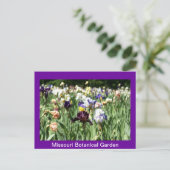 IRIS-veld Briefkaart (Staand voorkant)