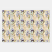 Iris verpakkingspapier inpakpapier vel (Voorkant 3)