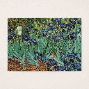 Iris Vincent van Gogh