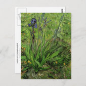 Iris, Vincent van Gogh Briefkaart (Voorkant / Achterkant)