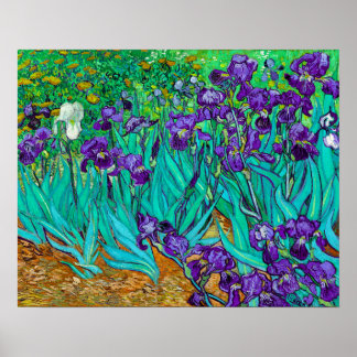 Iris, Vincent van Gogh Poster