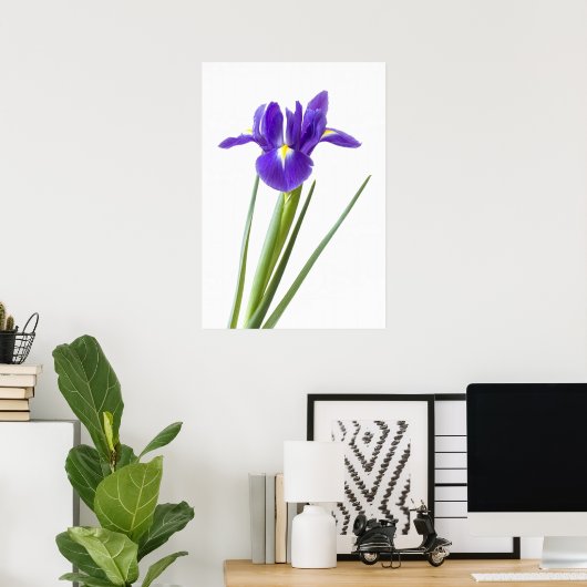 Iris violet sur affiche blanche (Bureau à domicile)