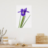 Iris violet sur affiche blanche (Cuisine)
