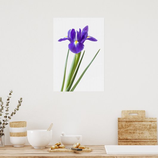 Iris violet sur affiche blanche (Cuisine)