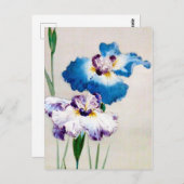 Iris, Watanabe Seitei Briefkaart (Voorkant / Achterkant)