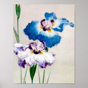 Iris, Watanabe Seitei Poster