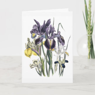Iris Watercolor Condoleancekaart Bijgewerkt Kaart
