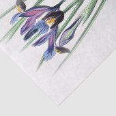 Iris  Waterverf op papier met schroefdop (Detail)