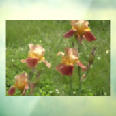 Iris Window Cling Raamsticker (Vel 3)