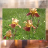 Iris Window Cling Raamsticker (Vel 2)