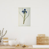 Iris Xyphioides, van Les Liliacees, 1808 Poster (Keuken)