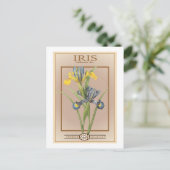 iris zaadpakket briefkaart (Staand voorkant)