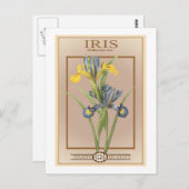 iris zaadpakket briefkaart (Voorkant / Achterkant)