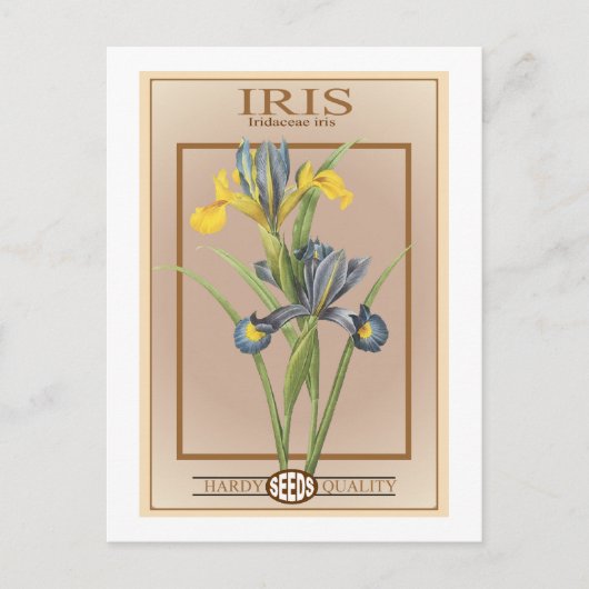 iris zaadpakket briefkaart (Voorkant)