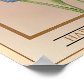 iris zaadpakket poster (Hoek)