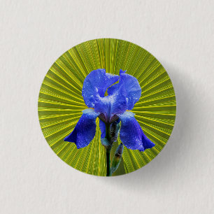 Irisbloem Ronde Button 3,2 Cm