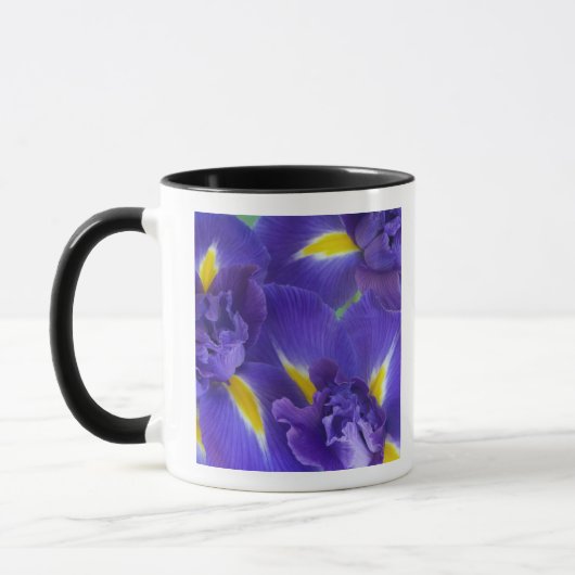 Irisbloemen Mok (Links)