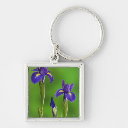 Irisbloemen Sleutelhanger (Voorkant)