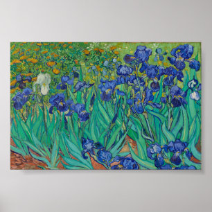 Irisbloemen van Vincent van Gogh Poster